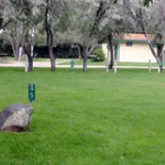 RV-Campground-Idaho-Falls